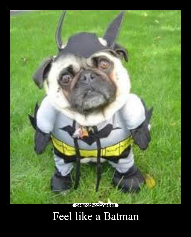 Feel like a Batman - 