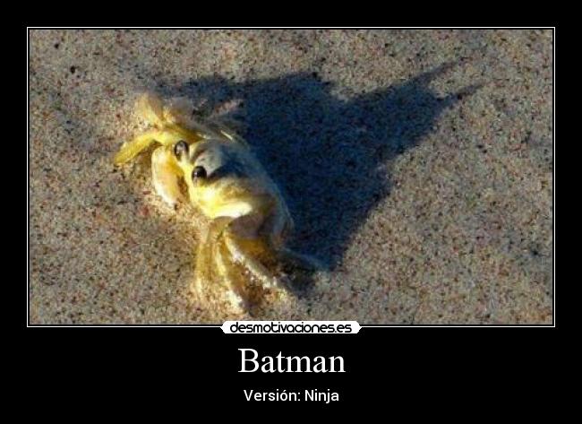 carteles batman ninja version lol principal chucknorris98 walt_k verano playa vacaciones madrid barca desmotivaciones