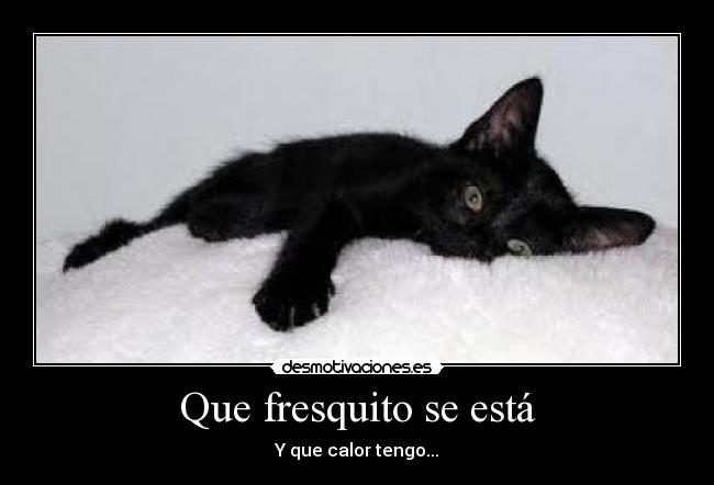 Que fresquito se está - 