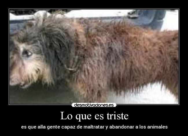 Lo que es triste - 