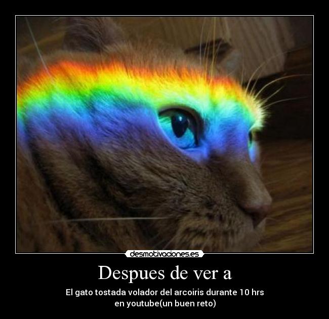 Despues de ver a - El gato tostada volador del arcoiris durante 10 hrs
en youtube(un buen reto)