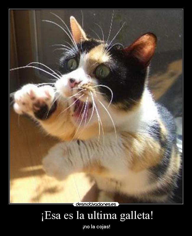 ¡Esa es la ultima galleta! - 