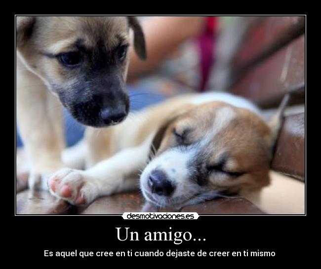 Un amigo... - Es aquel que cree en ti cuando dejaste de creer en ti mismo