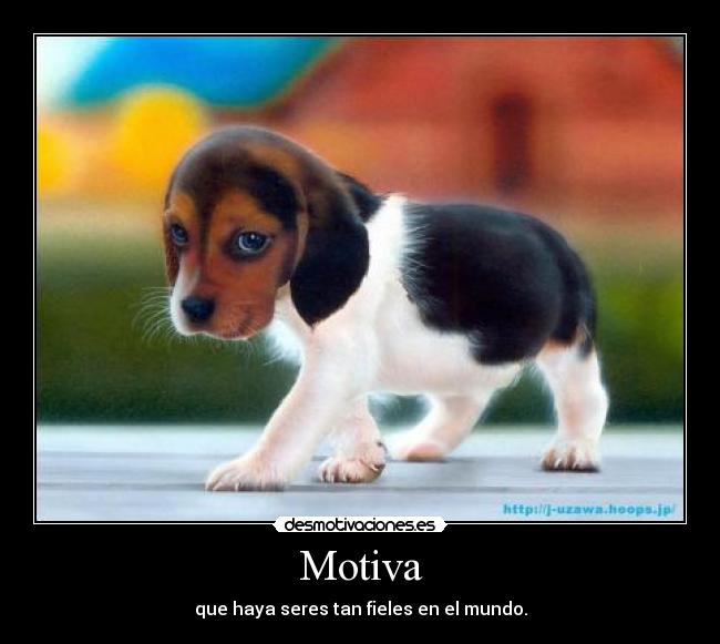 Motiva - 
