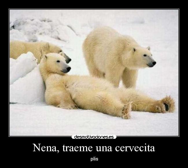 Nena, traeme una cervecita -