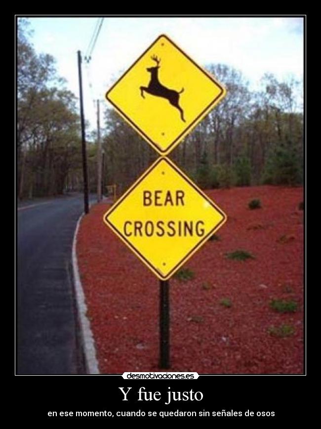 Y fue justo - en ese momento, cuando se quedaron sin señales de osos