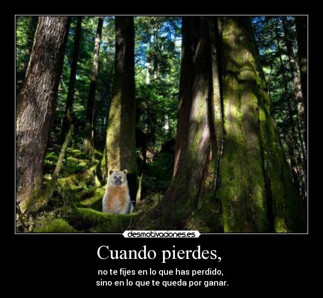 Cuando pierdes,  - 