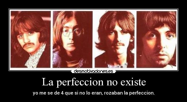 La perfeccion no existe - 