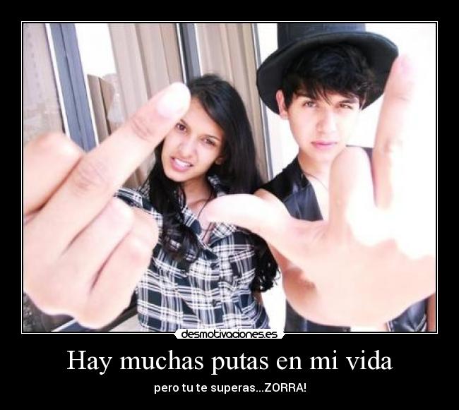 carteles vida zorra desmotivaciones