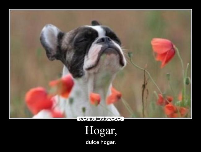 Hogar, - dulce hogar.