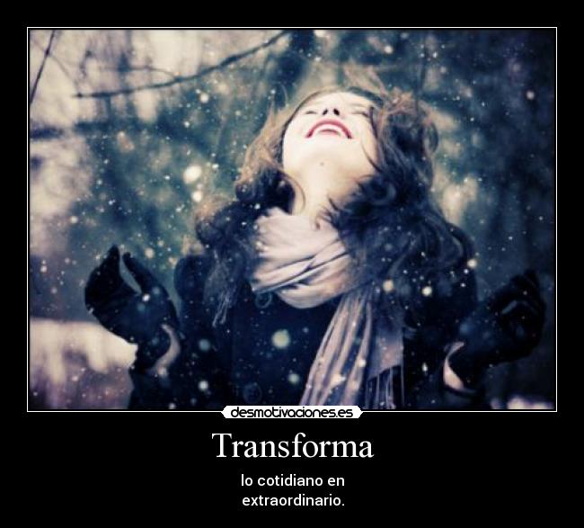Transforma - 