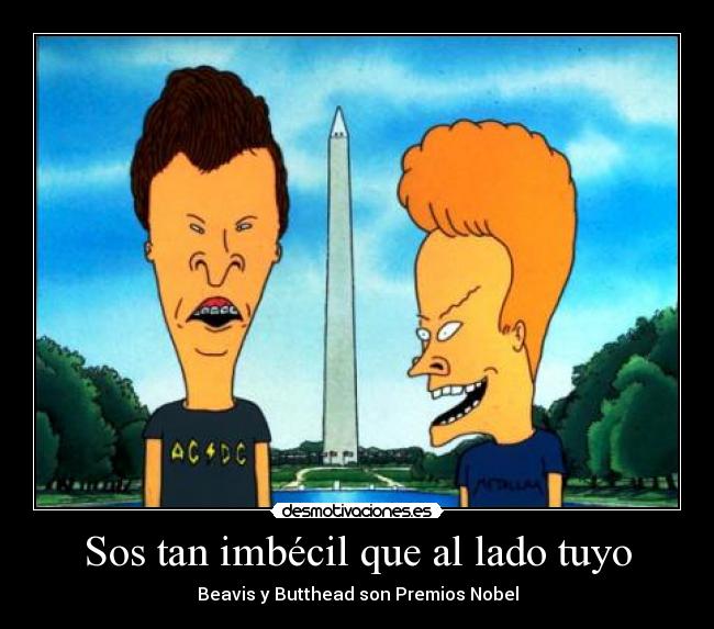 Sos tan imbécil que al lado tuyo - 