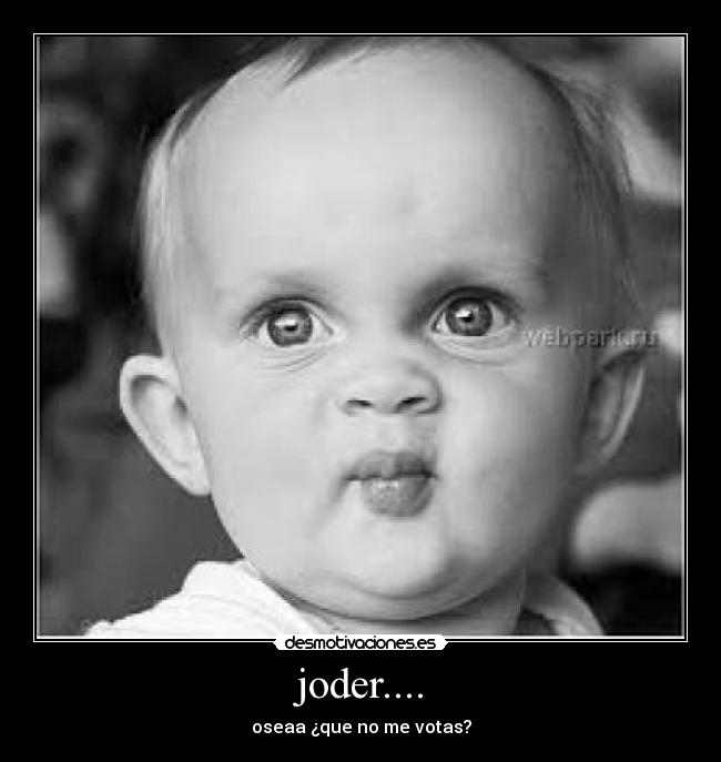 carteles pijo desmotivaciones