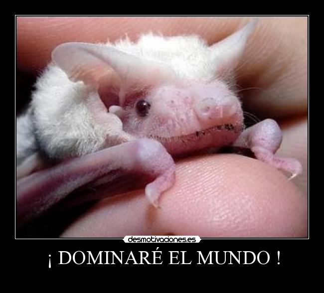 ¡ DOMINARÉ EL MUNDO ! -
