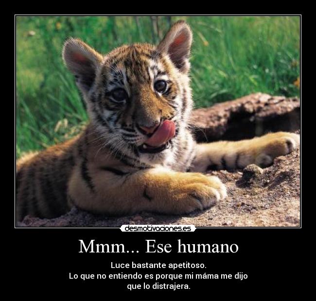 Mmm... Ese humano - Luce bastante apetitoso.
Lo que no entiendo es porque mi máma me dijo
que lo distrajera.