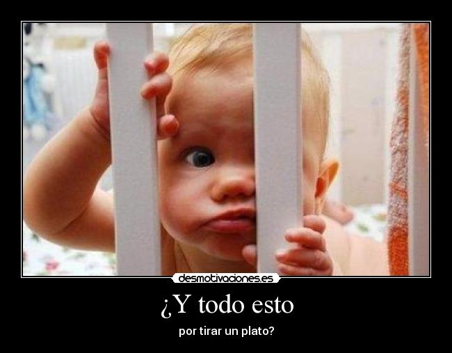 ¿Y todo esto - por tirar un plato?