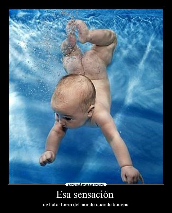Esa sensación - de flotar fuera del mundo cuando buceas