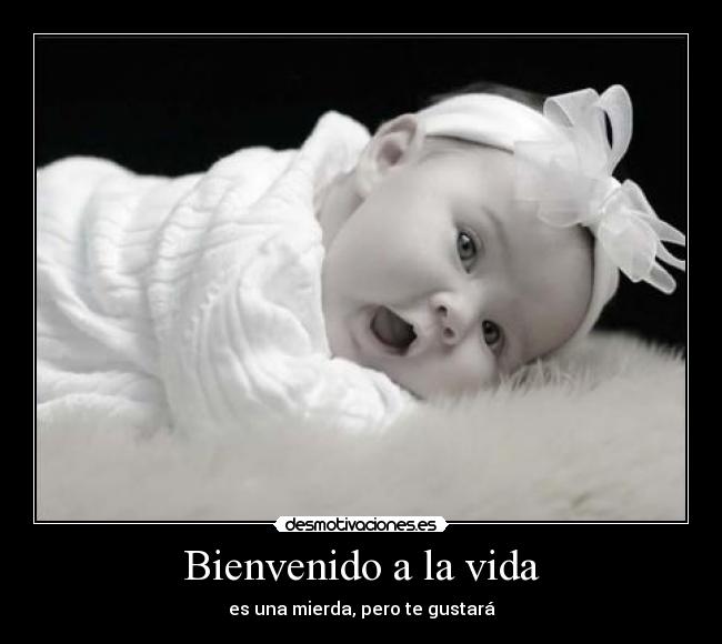 Bienvenido a la vida - 