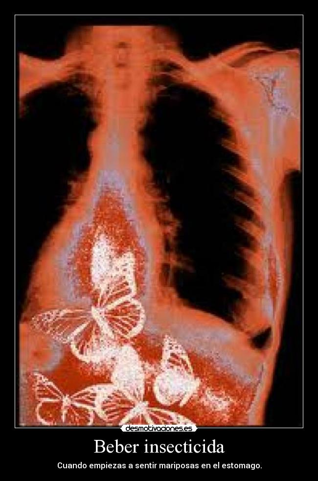 Beber insecticida - 