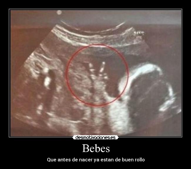 Bebes - Que antes de nacer ya estan de buen rollo