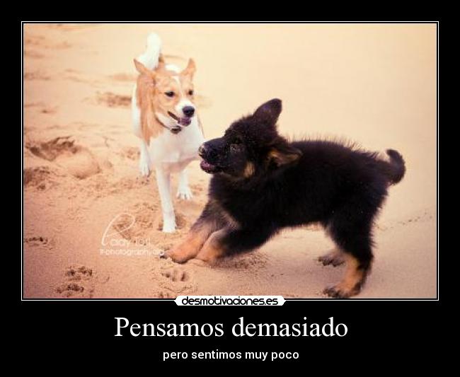 carteles sentir desmotivaciones