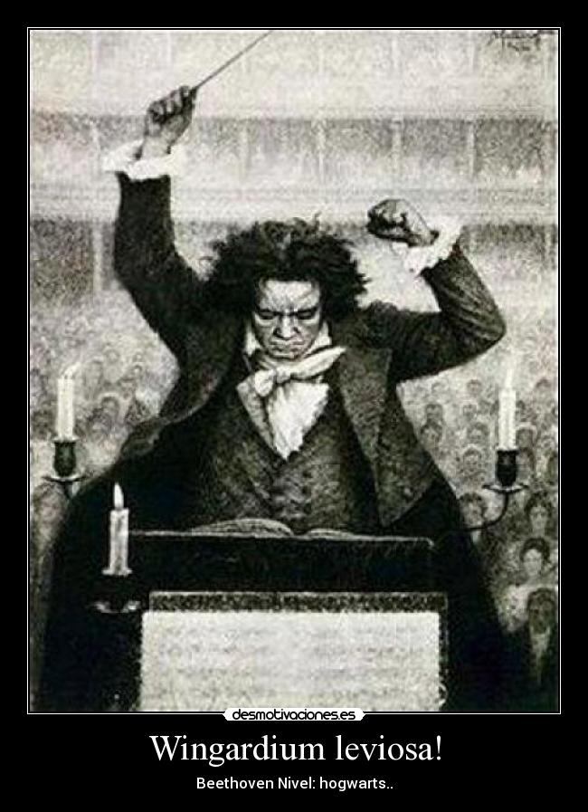 Wingardium leviosa! - Beethoven Nivel: hogwarts..