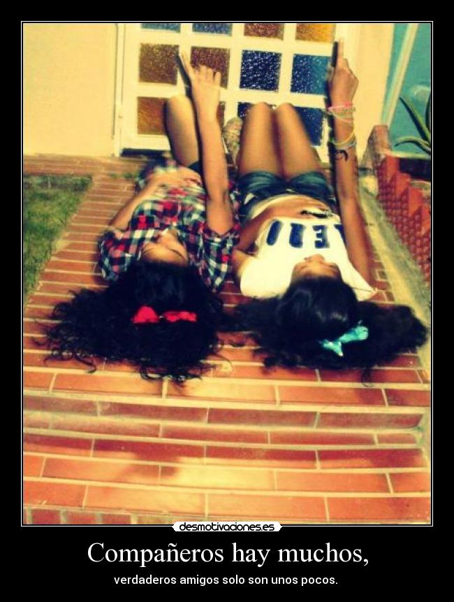 carteles isabella borrome vanessa navarro desmotivaciones