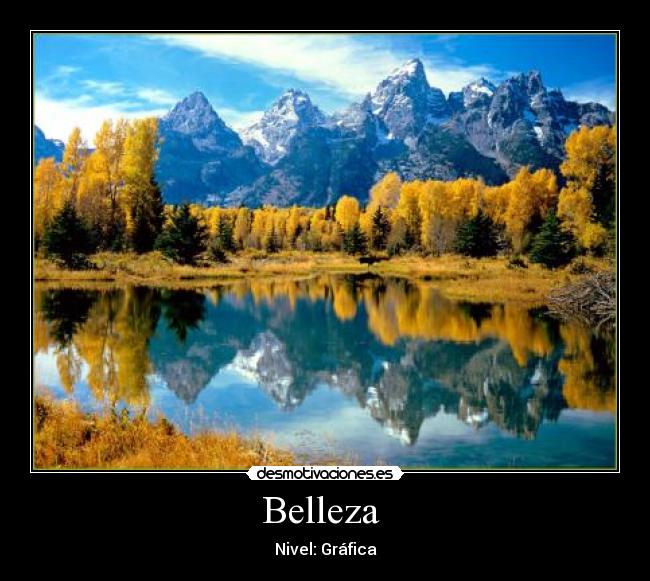 Belleza - Nivel: Gráfica