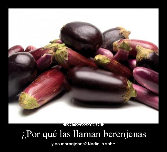 carteles teoduma desmotivaciones