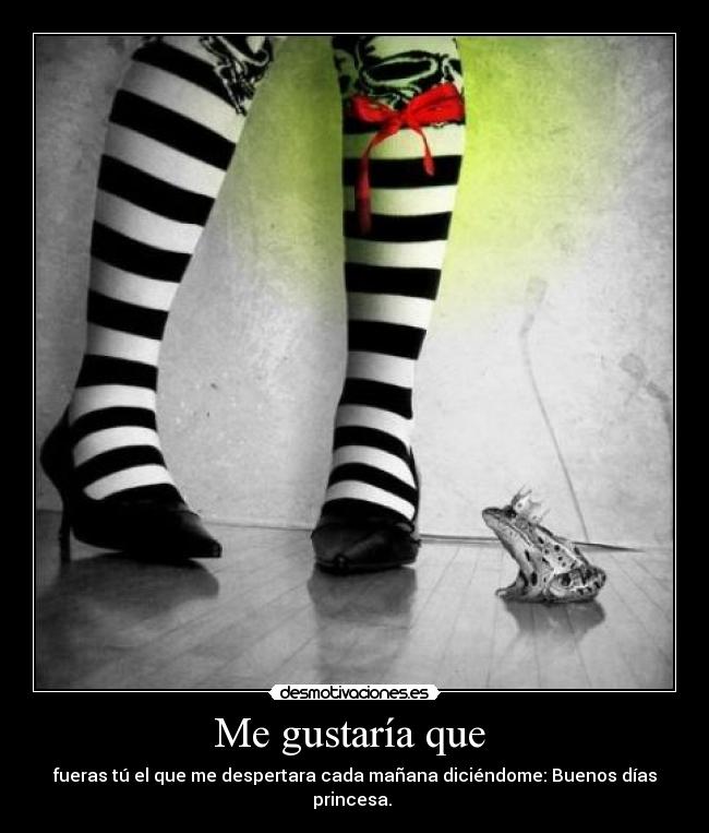 carteles princesas desmotivaciones