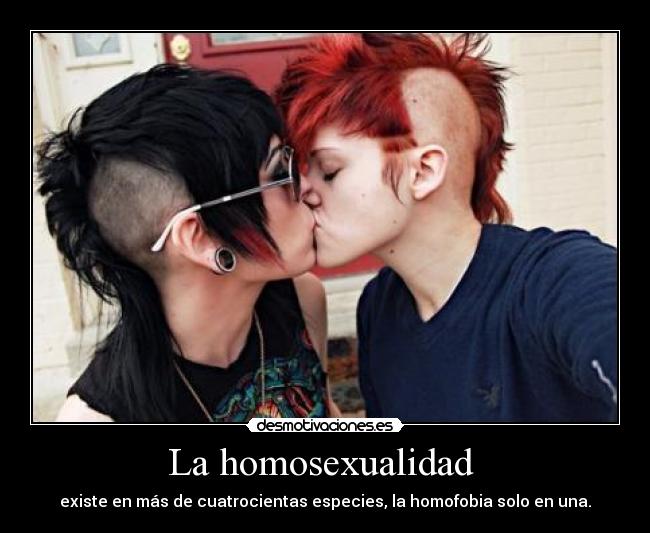 carteles mariuki desmotivaciones