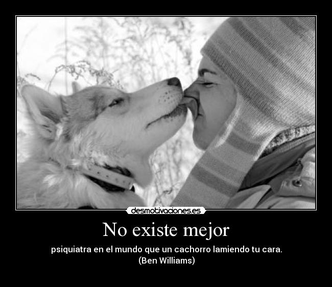 No existe mejor - psiquiatra en el mundo que un cachorro lamiendo tu cara.
(Ben Williams)
