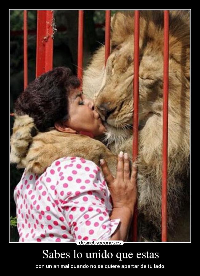 carteles clara-perdigon desmotivaciones