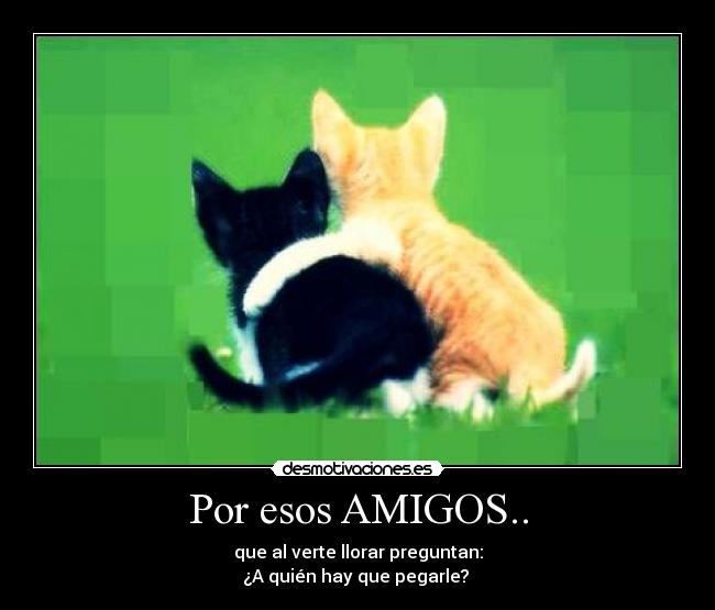 Por esos AMIGOS.. - que al verte llorar preguntan:
¿A quién hay que pegarle? 