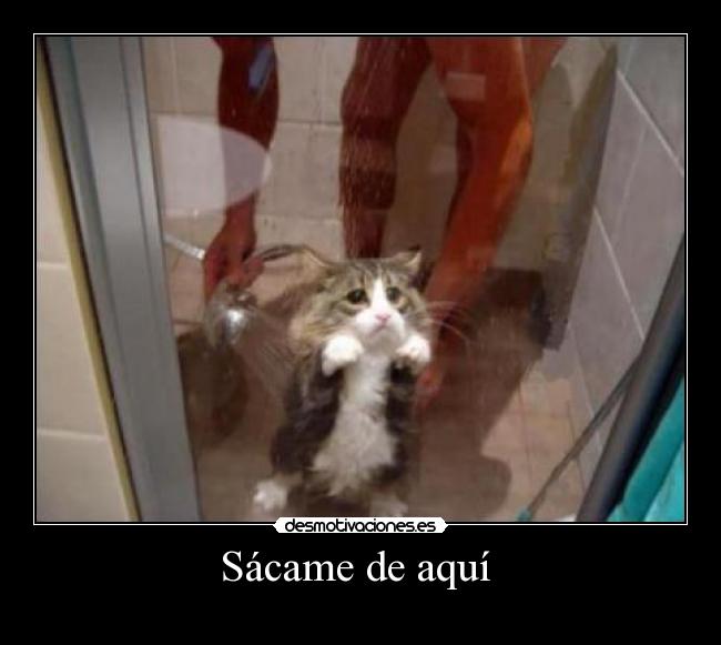 Sácame de aquí  - 