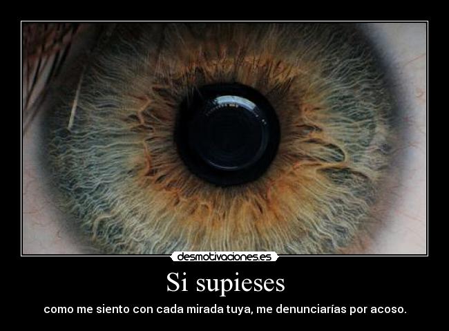 Si supieses - como me siento con cada mirada tuya, me denunciarías por acoso.