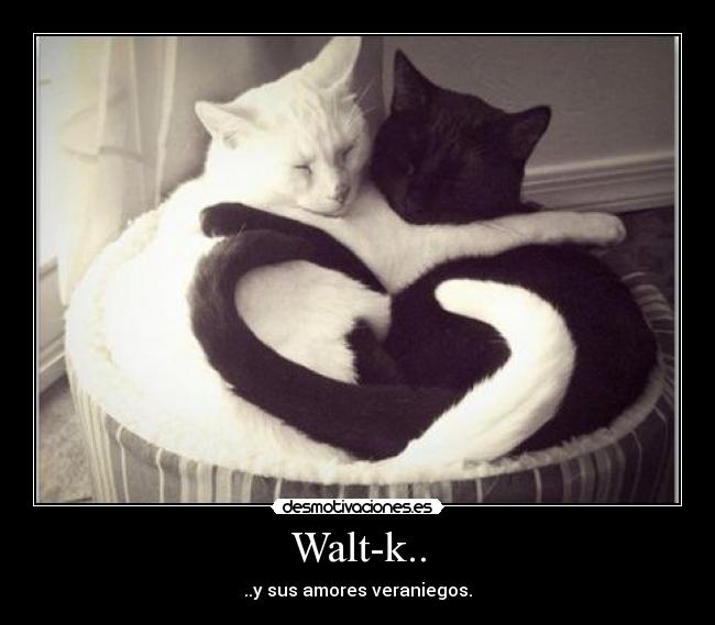 Walt-k.. - ..y sus amores veraniegos.