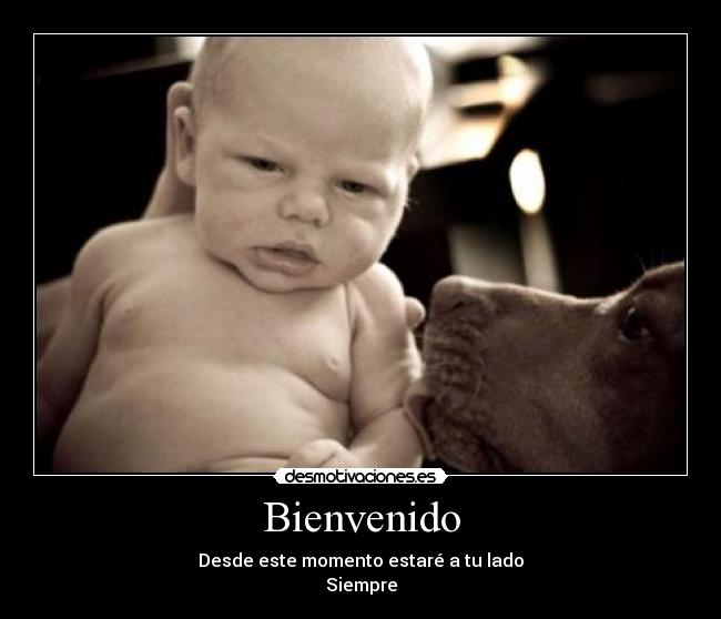 Bienvenido - Desde este momento estaré a tu lado
Siempre