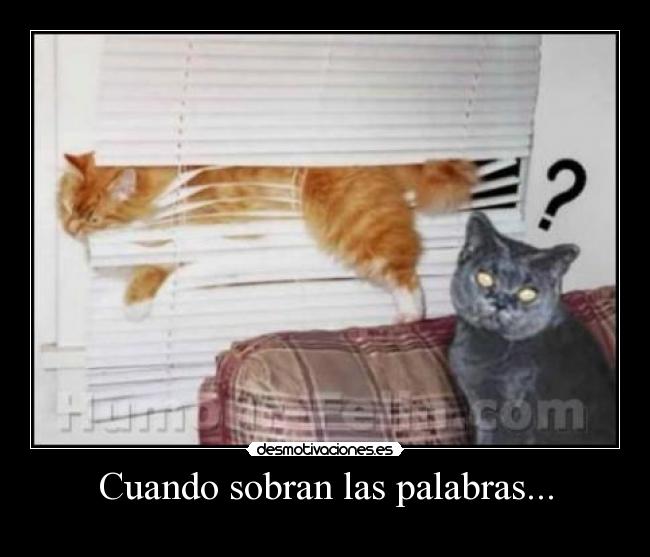 carteles sanny desmotivaciones