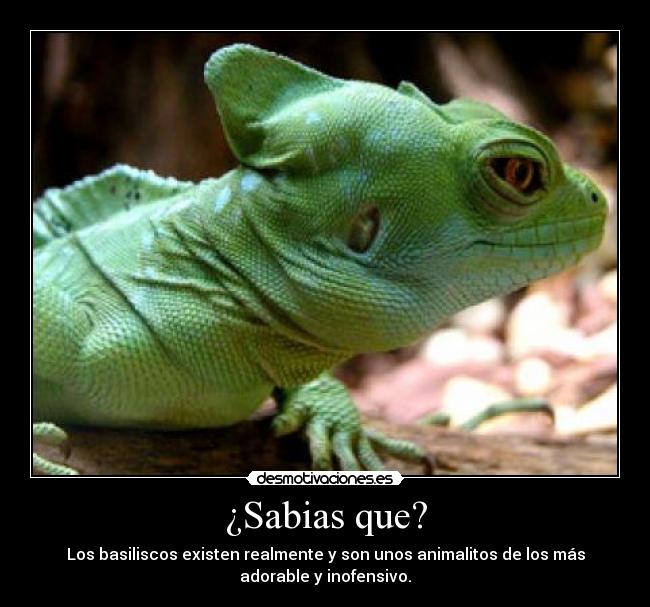 ¿Sabias que? - 