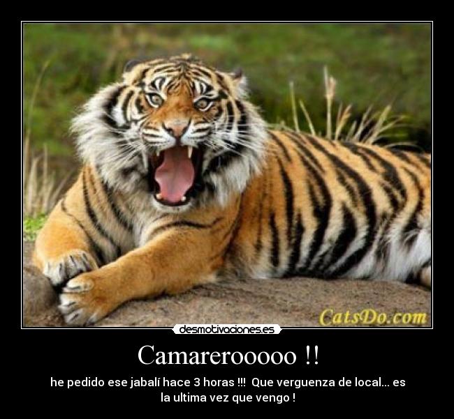 Camarerooooo !! - he pedido ese jabalí hace 3 horas !!!  Que verguenza de local... es
la ultima vez que vengo !