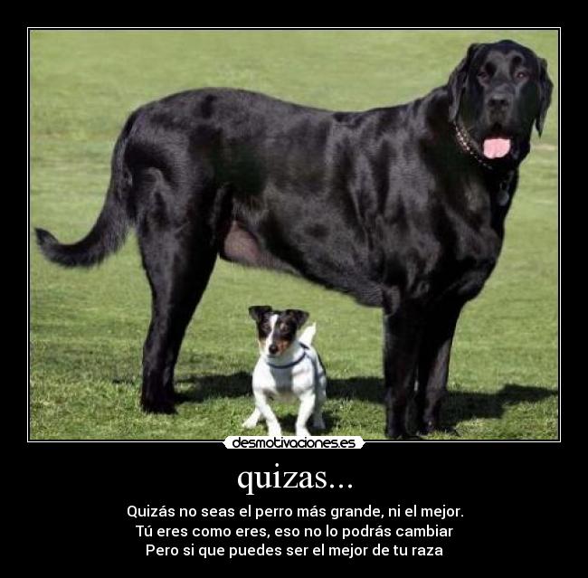 quizas... -