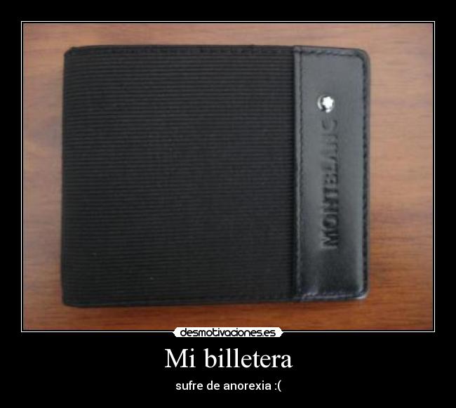 Mi billetera - sufre de anorexia :(