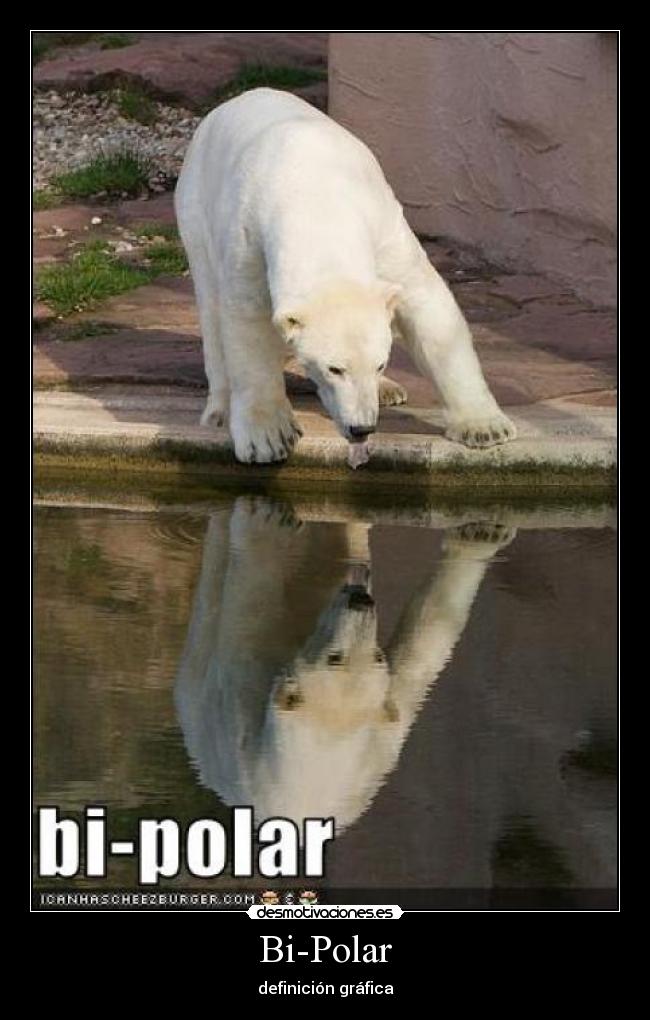 Bi-Polar -