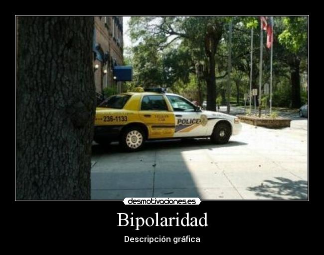 Bipolaridad -