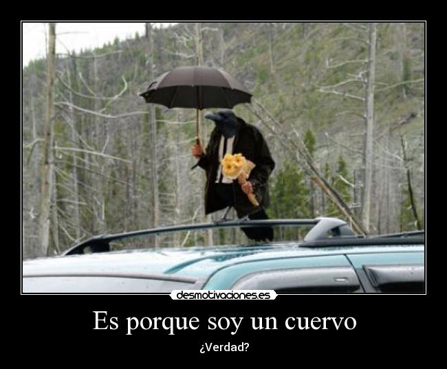 Es porque soy un cuervo - 