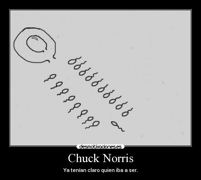 Chuck Norris - 
