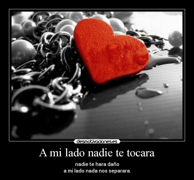 A mi lado nadie te tocara - 