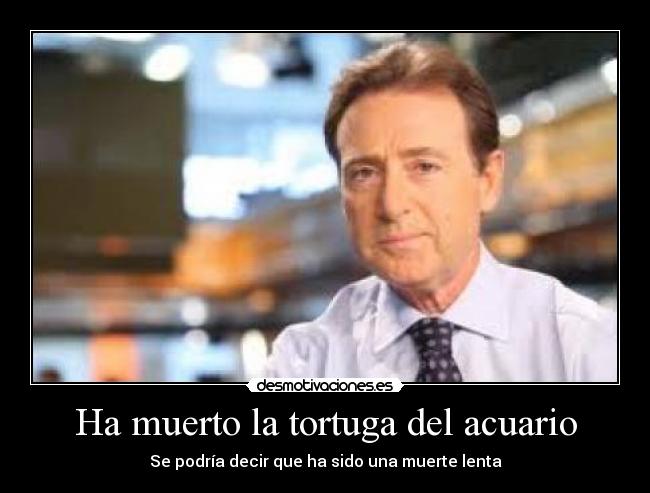 Ha muerto la tortuga del acuario - 