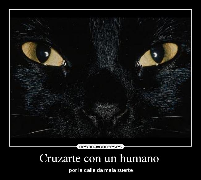 Cruzarte con un humano  - 